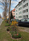 Triesterstrasse, Herrn Scheiflinger's Guerilla-Gardening